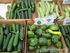 Zucchini Zucchini