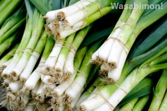 glfm-leeks Leeks