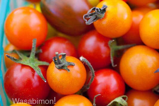 glfm-main-photo Tomatoes