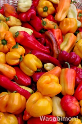 glfm-peppers Peppers