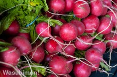 glfm-radishes Radishes