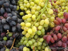 Harvest Grapes Grapes