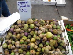 Organic Tomatillos Organic Tomatillos