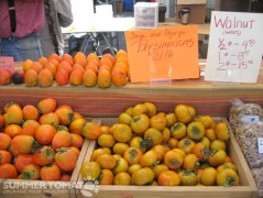 Persimmons Persimmons