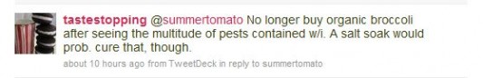 Twitterbugs4