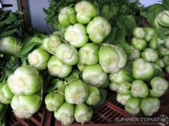 Baby Bok Choy Bottoms Baby Bok Choy