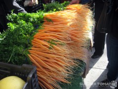 Carrot Tips Carrots