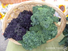 Curly Kale Curly Kale