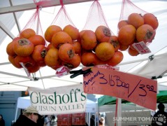 Hanging Persimmons Persimmons