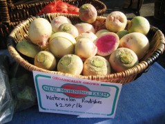 IMG_2526 Watermelon Radish