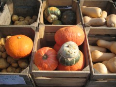 IMG_2534 Winter Squash