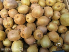 Kiwi Fruit Kiwi