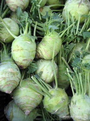 Kohlrabi Kohlrabi