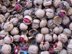 Livermore Red Walnuts Livermore Red Walnuts