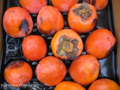 Persimmons 2 Hachiya Persimmons