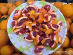 Blood Oranges Blood Oranges