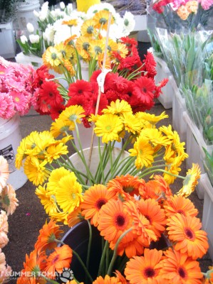 Flowers Flowers
