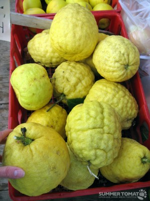 Jumbo Lemons Jumbo Lemons