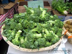 Organic Broccoli Organic Broccoli
