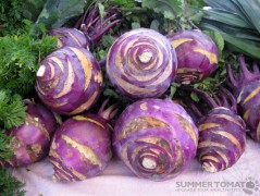 Purple Kohlrabi Purple Kohlrabi
