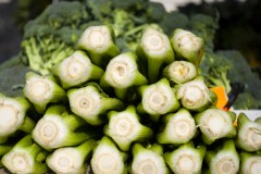 celery Celery