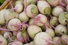 watermelon radish Watermelon Radish