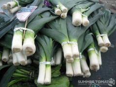 Big Leeks Big Leeks