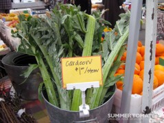 Cardoons 2 Cardoons