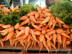 Bolero Carrots Bolero Carrots