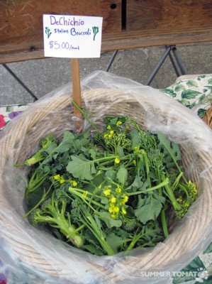 Broccoli di Ciccio