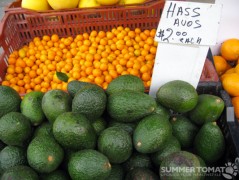 Haas Avocados Haas Avocados