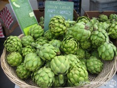 Large Organic Artichokes