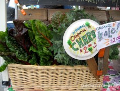 Organic Chard