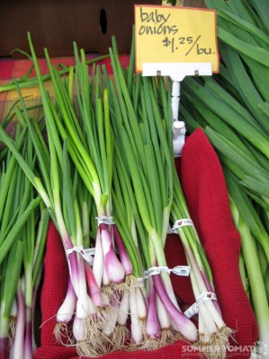 Baby Onions