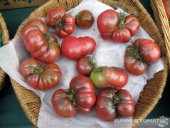 First Heirloom Tomatoes