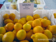 Meyer Lemons Meyer Lemons