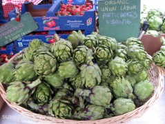 Organic Artichokes