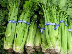 Organic Celery