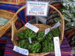Pimentos de Padron Pimentos de Padron