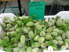 Fresh Almonds