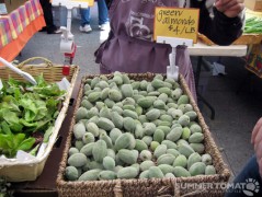 Green Almonds