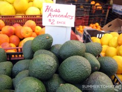 Hass Avocado Hass Avocado