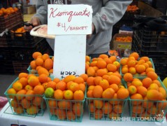 Kumquats