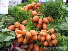 Little Carrots