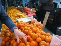 Spring Citrus Spring Citrus