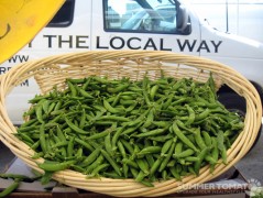 Sugar Snap Peas
