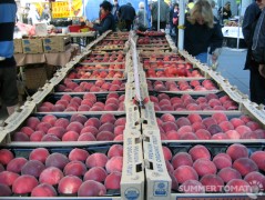 Peaches & Nectarines