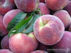 White Peaches