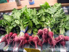 Chioggia Beets Chioggia Beets
