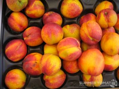 Frog Hollow Ruby Grand Nectarines Frog Hollow Ruby Grand Nectarines